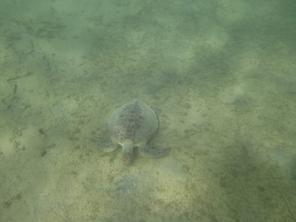 Strand Three Corners Equinox Beach Resort