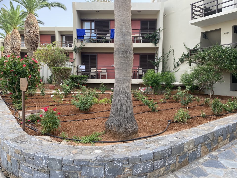 Gartenanlage allsun Hotel Malia Beach