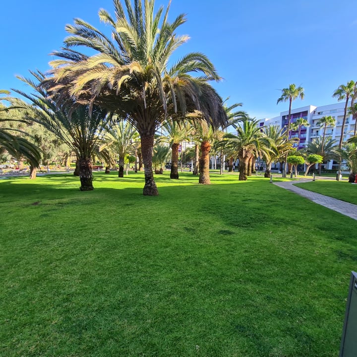 Gartenanlage Hotel Riu Gran Canaria