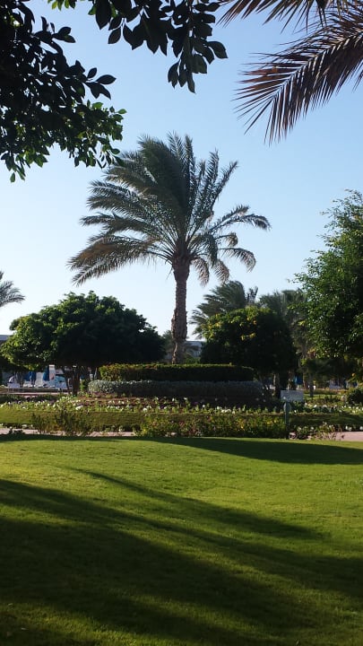 Außenansicht Desert Rose