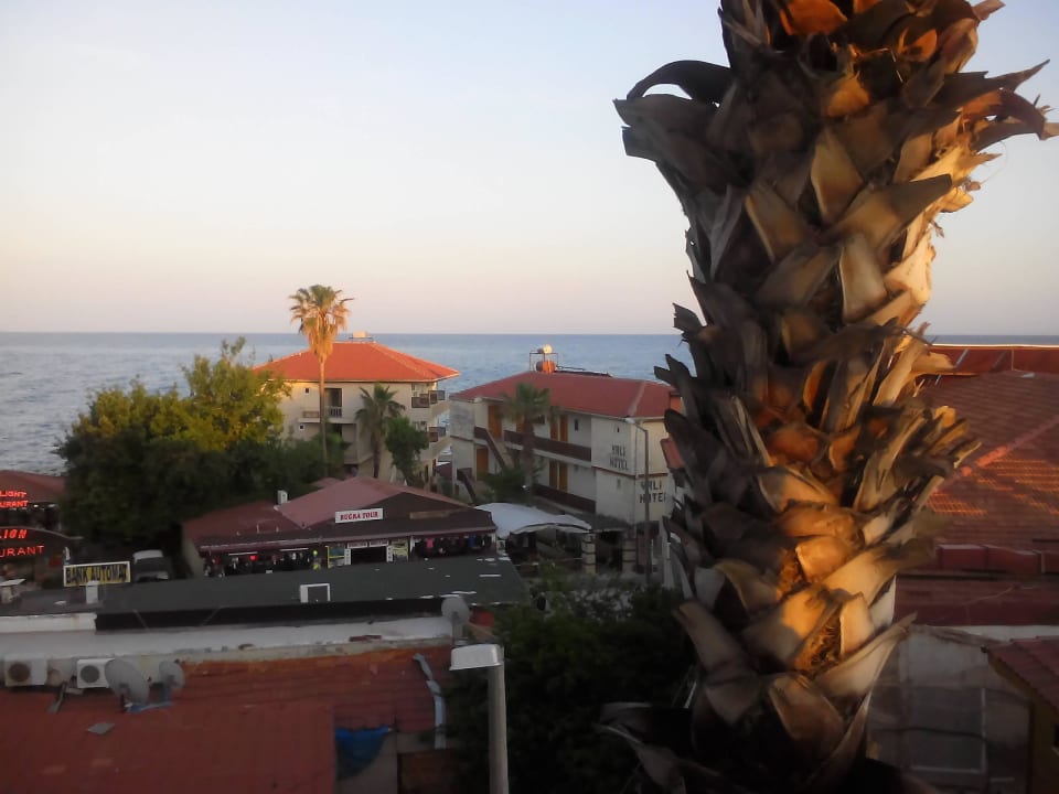 Blick vom Balkon 2 Elit Köseoglu Hotel
