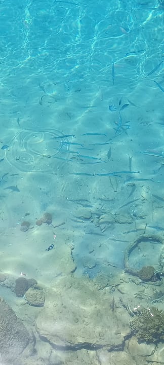 Strand Pickalbatros Aqua Blu Resort - Hurghada