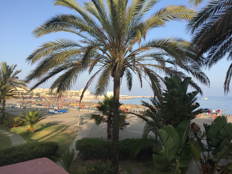 Ausblick Hotel Best Siroco