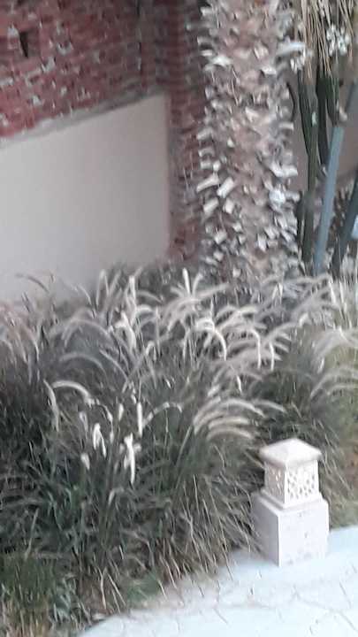 Gartenanlage Shams Alam Beach Resort