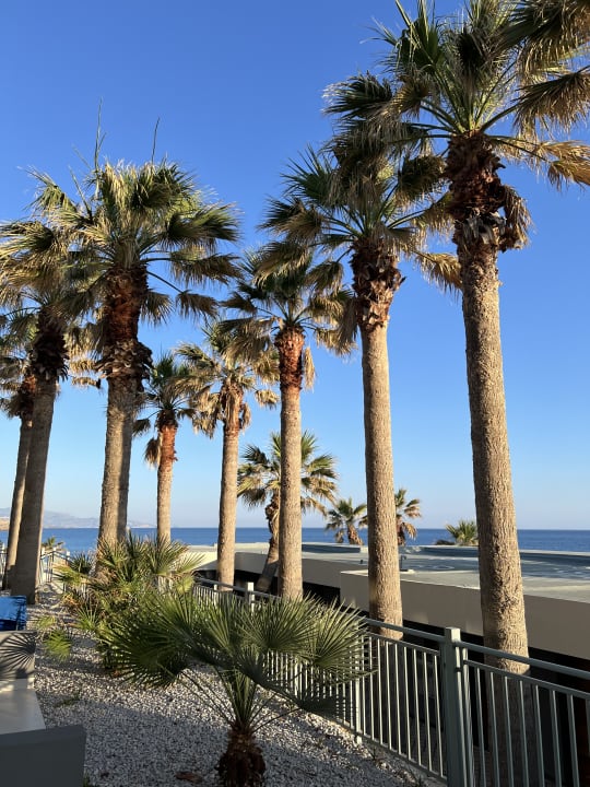 Ausblick Arina Beach Resort