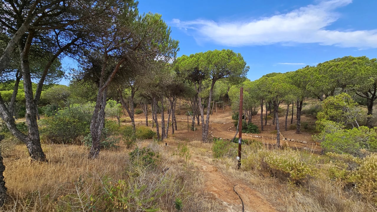 Gartenanlage AP Adriana Beach Resort