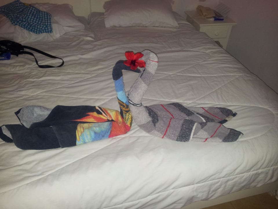 Kleine Überraschung der Reinigungskraft Royal Karthago Djerba