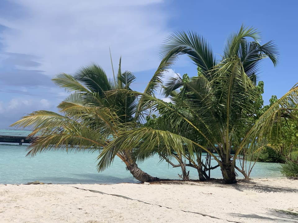 Strand Adaaran Select Hudhuran Fushi - Premium All Inclusive