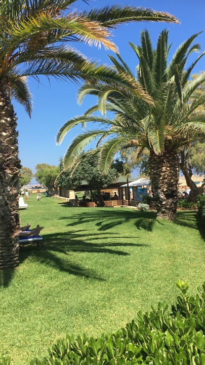 Gartenanlage Phãea Cretan Malia