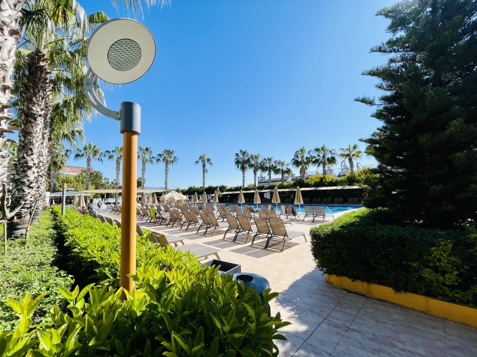 Pool Hane Family Resort