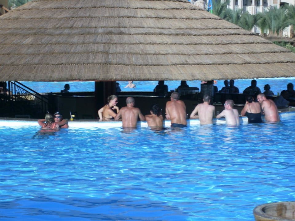 Poolbar Pickalbatros Palace Resort