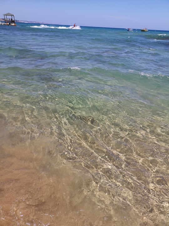 Strand Alexander Beach Hotel & Village Resort