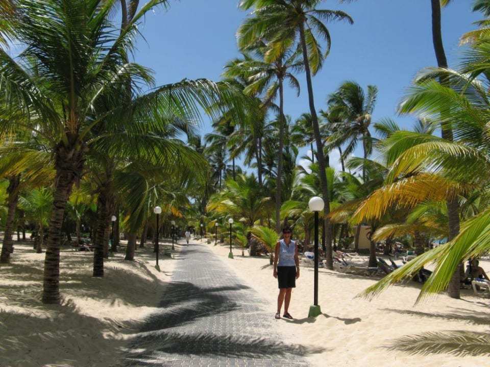 Weg zwischen den Hotels Hotel Riu Palace Punta Cana