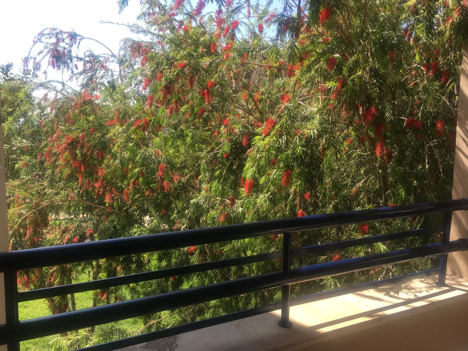 Zimmer Labranda Alantur Resort