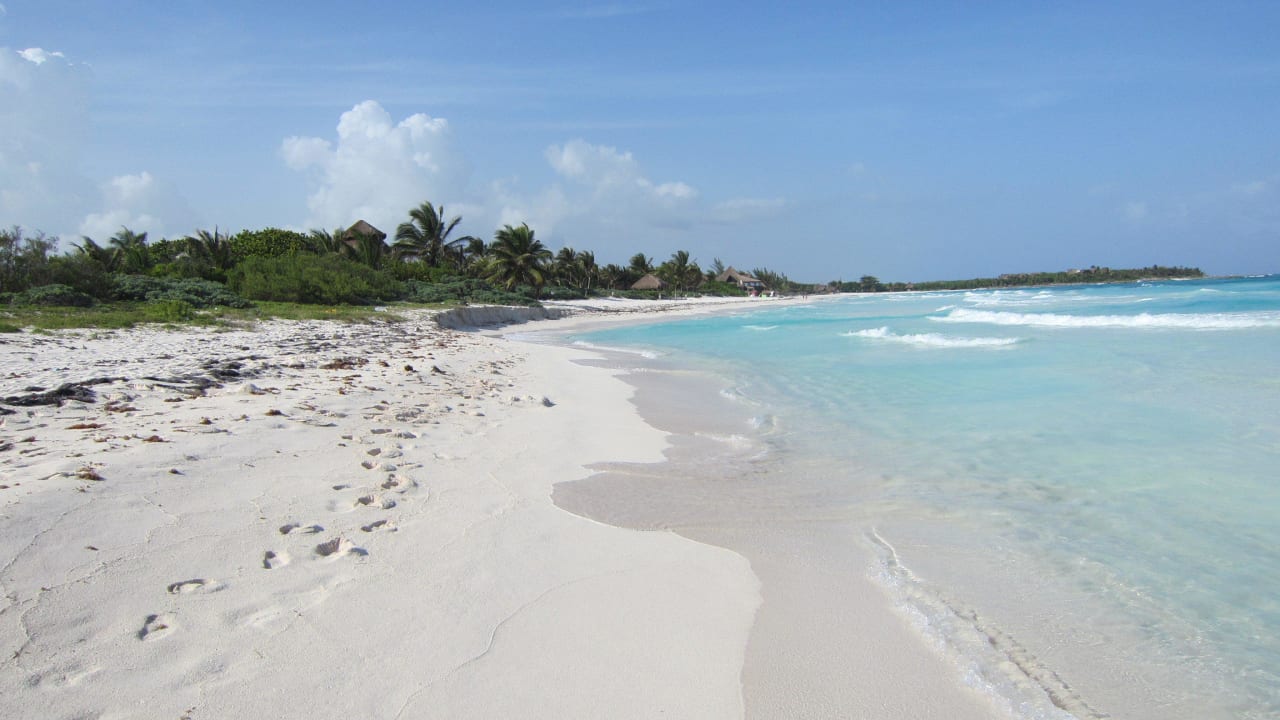 Strand in unmittelbarer Nähe zum Hotel Catalonia Royal Tulum Beach & Spa Resort - Adults only