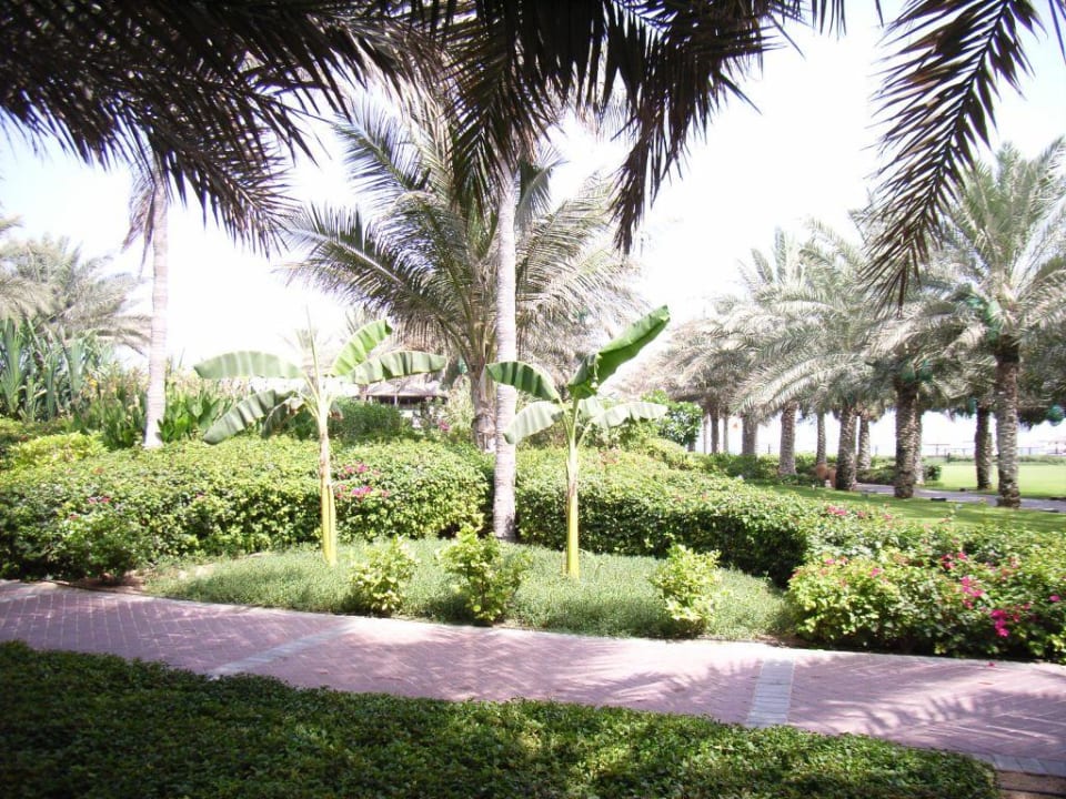 Außenanlage 3 Coral Beach Resort Sharjah