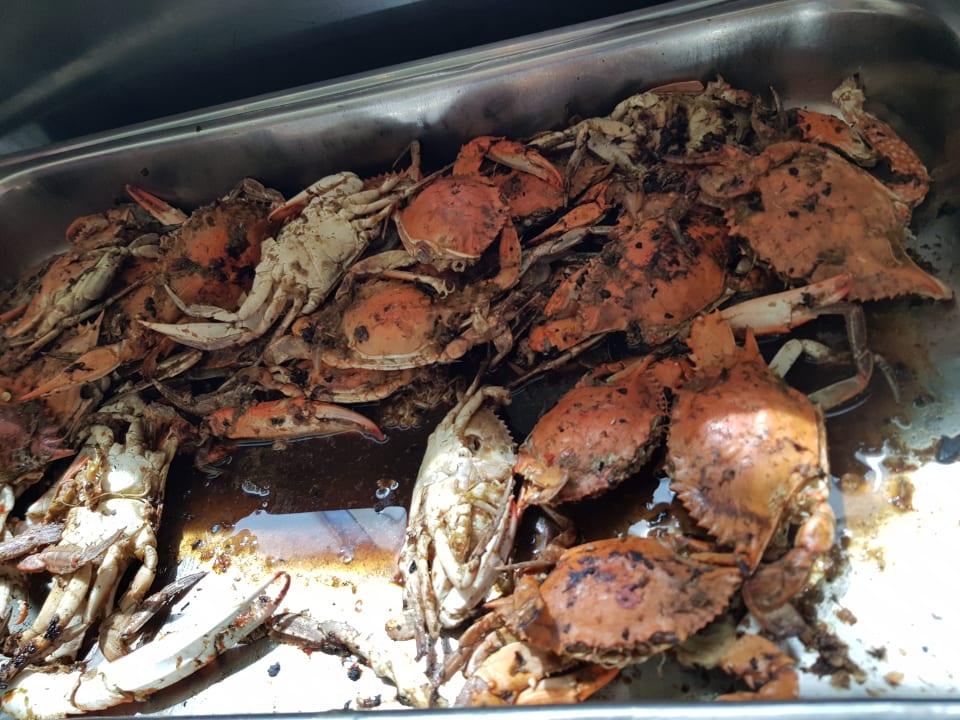 Gastro Menaville Safaga