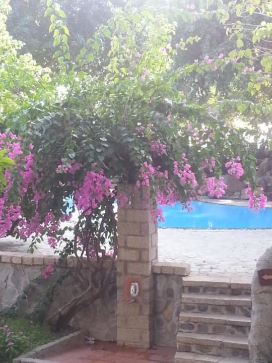 Blick auf den kleinen Pool Hoang Ngoc Beach Resort