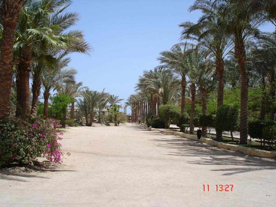 Strandweg Giftun Azur Resort