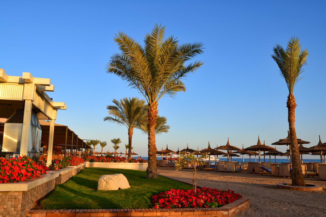 Außenansicht Beach Albatros Resort