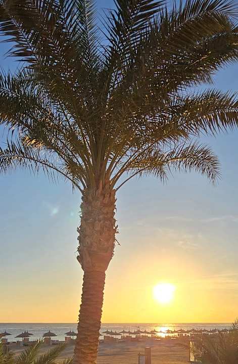 Zimmer Novotel Marsa Alam Beach Resort