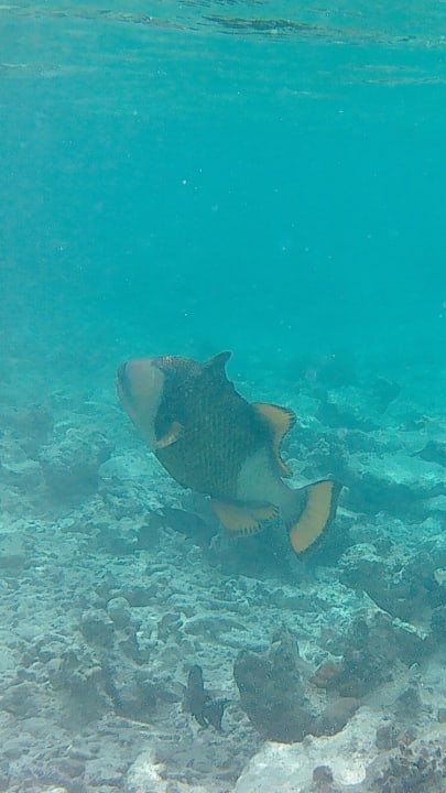 Sport & Freizeit NH Collection Maldives Reethi Resort