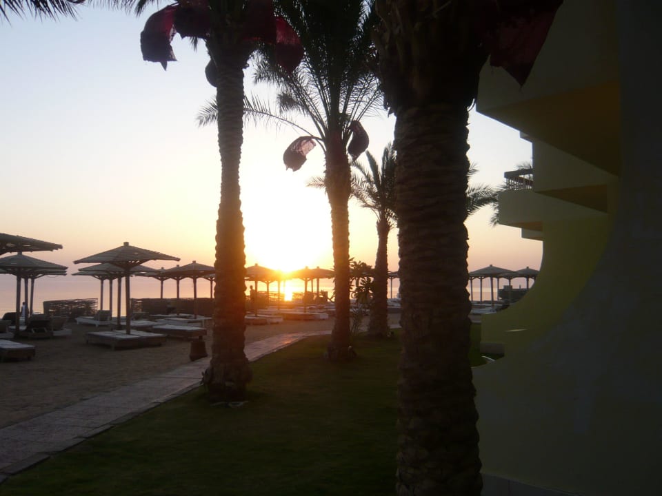 Sonnenaufgang am Strand Palm Beach Resort