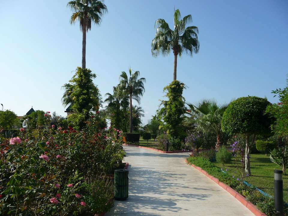 Weg zum Strand Saphir Resort & Spa