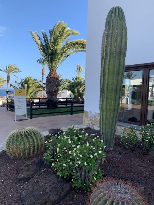 Gartenanlage TUI MAGIC LIFE Fuerteventura