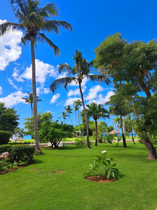 Gartenanlage Secrets La Romana Resort & Spa - Adult Only