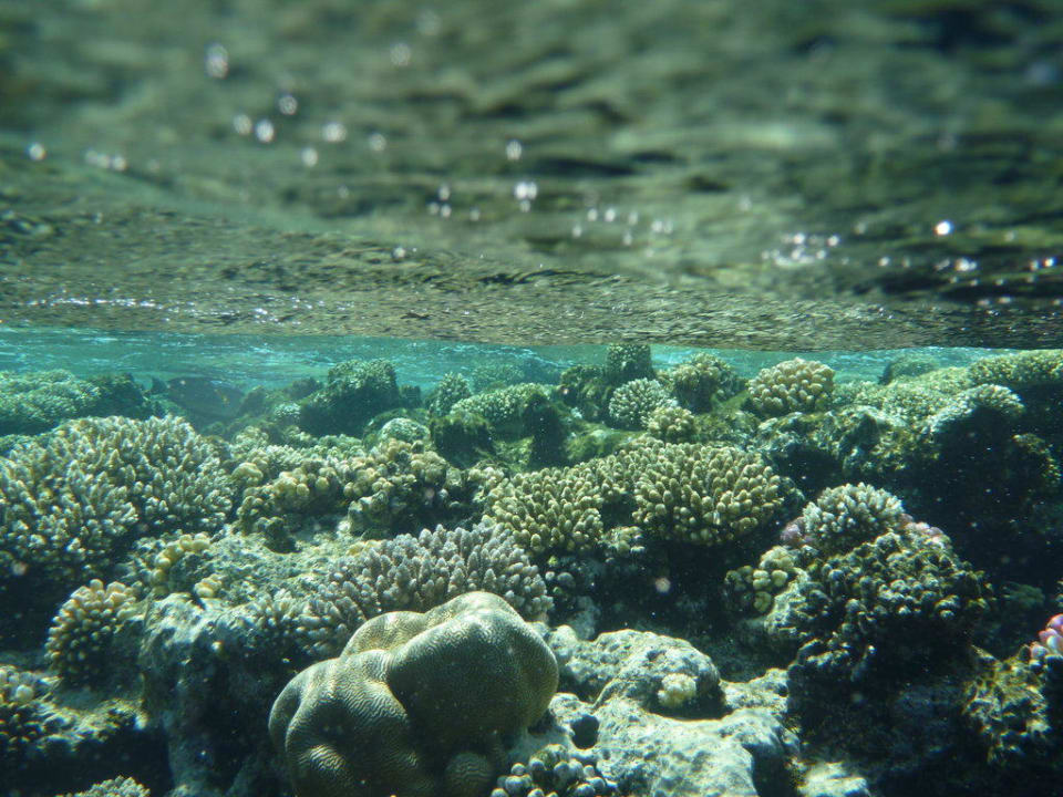 Hausriff Charmillion Club Resort