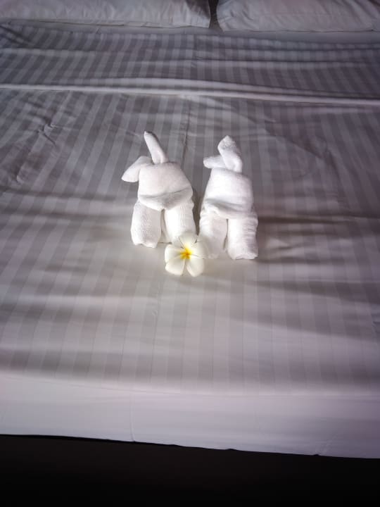 Die zwei Hunde von vorn Khaolak Orchid Beach Resort