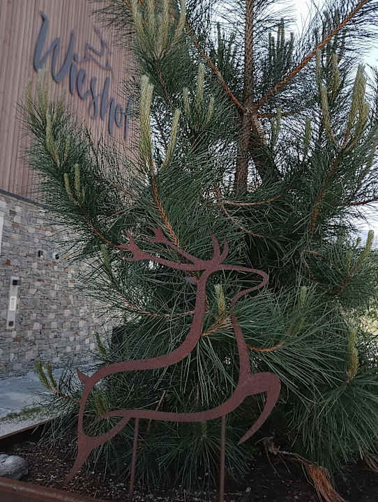 Außenansicht Wieshof - Camping Appartements Chalet