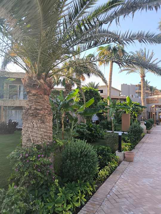 Sonstiges ananea Hurghada