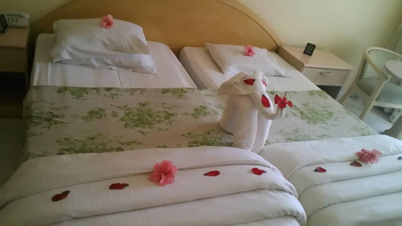 Elefant Ghazala Gardens