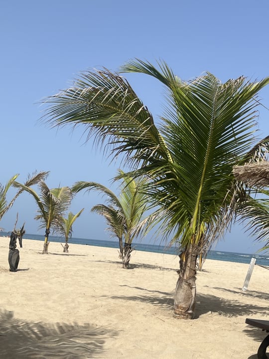 Strand Hotel Riu Palace Boavista