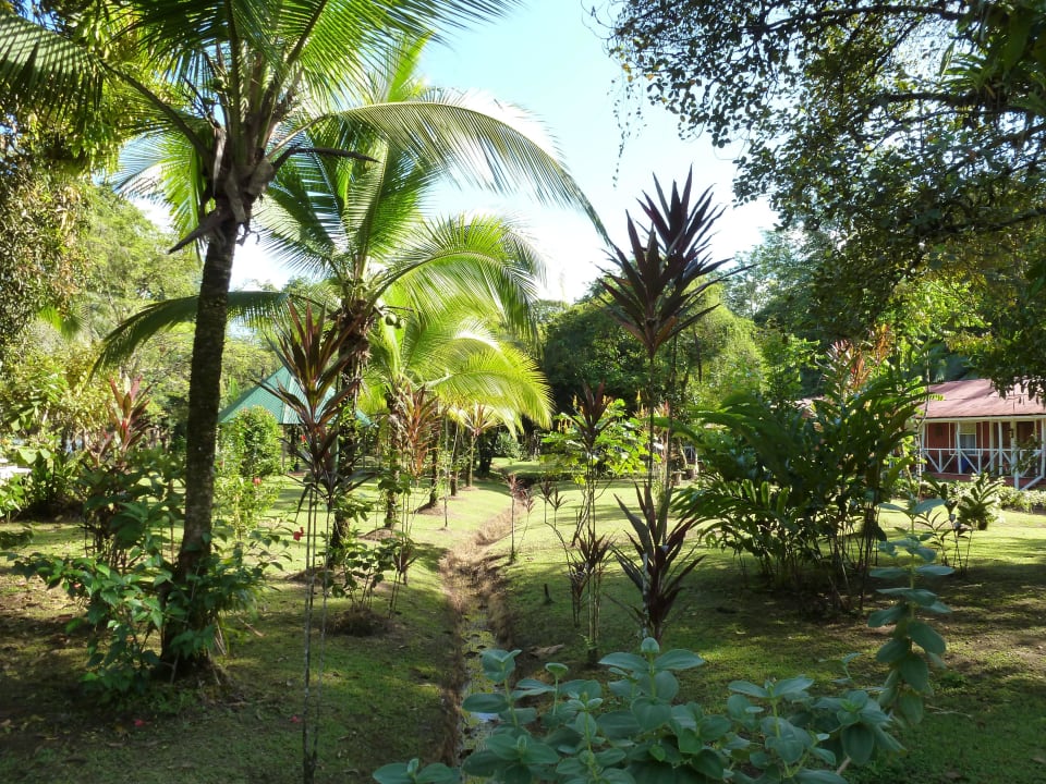 Gartenanlage                                        Caribbean Paradise Eco-Lodge