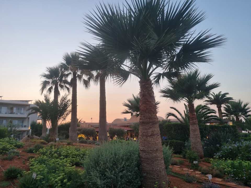 Gartenanlage Anissa Beach & Village
