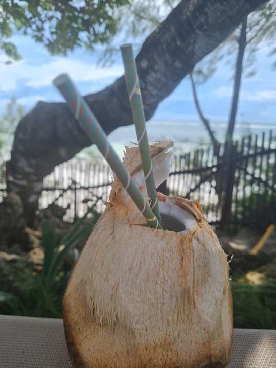 Gartenanlage Baobab Beach Resort & Spa