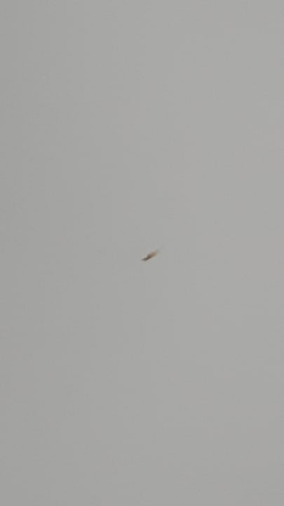 Zimmer Gran Hotel Don Juan