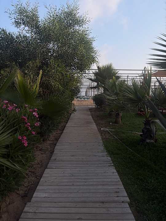 Strand Dream World Palace Hotel