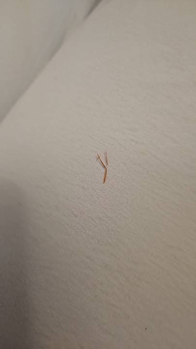 Zimmer Apartments Villa Schwan