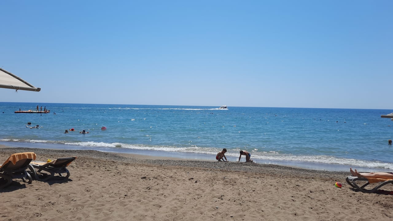 Strand Papillon Belvil