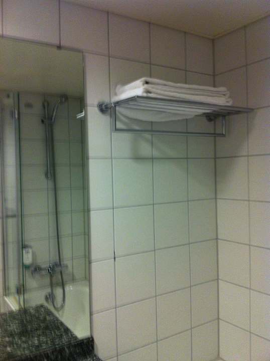 Bad Hotel NH Frankfurt Airport