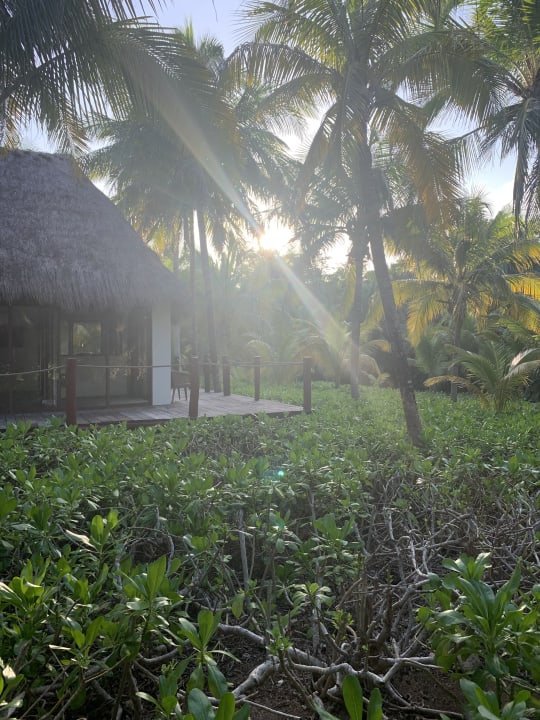 Gartenanlage Akumal Bay Beach & Wellness Resort