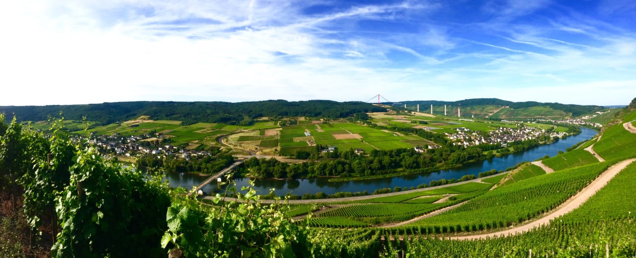 Außenansicht Pension auf dem Weingut Edgar Schwaab