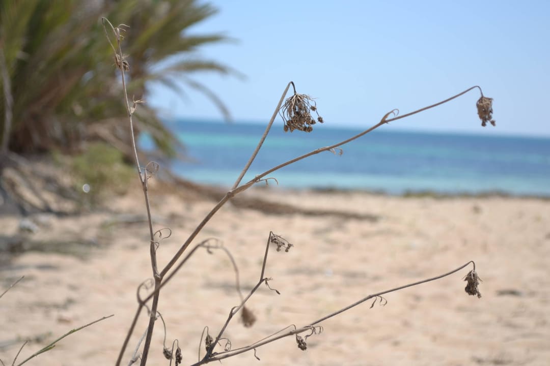 Djerba Hotel El Mouradi Djerba Menzel