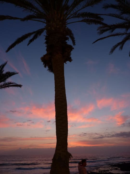 Sonnenuntergang Parque Santiago III Official