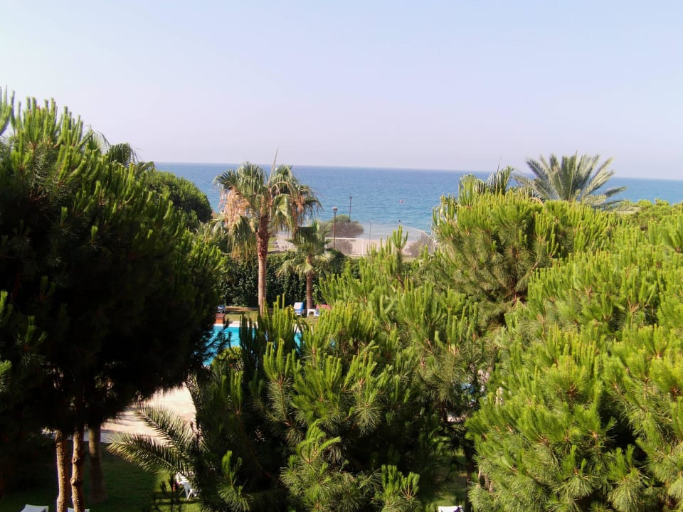 Blick Balkon Zimmer 1224 Club Turtas Beach Hotel