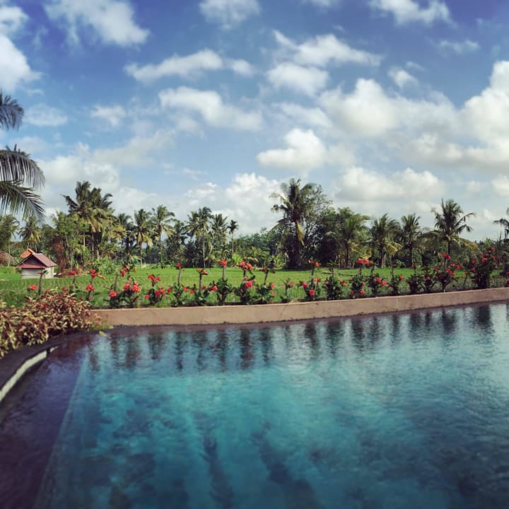 Schwimmen in Reisterrassen Inata Bisma Hotel Ubud